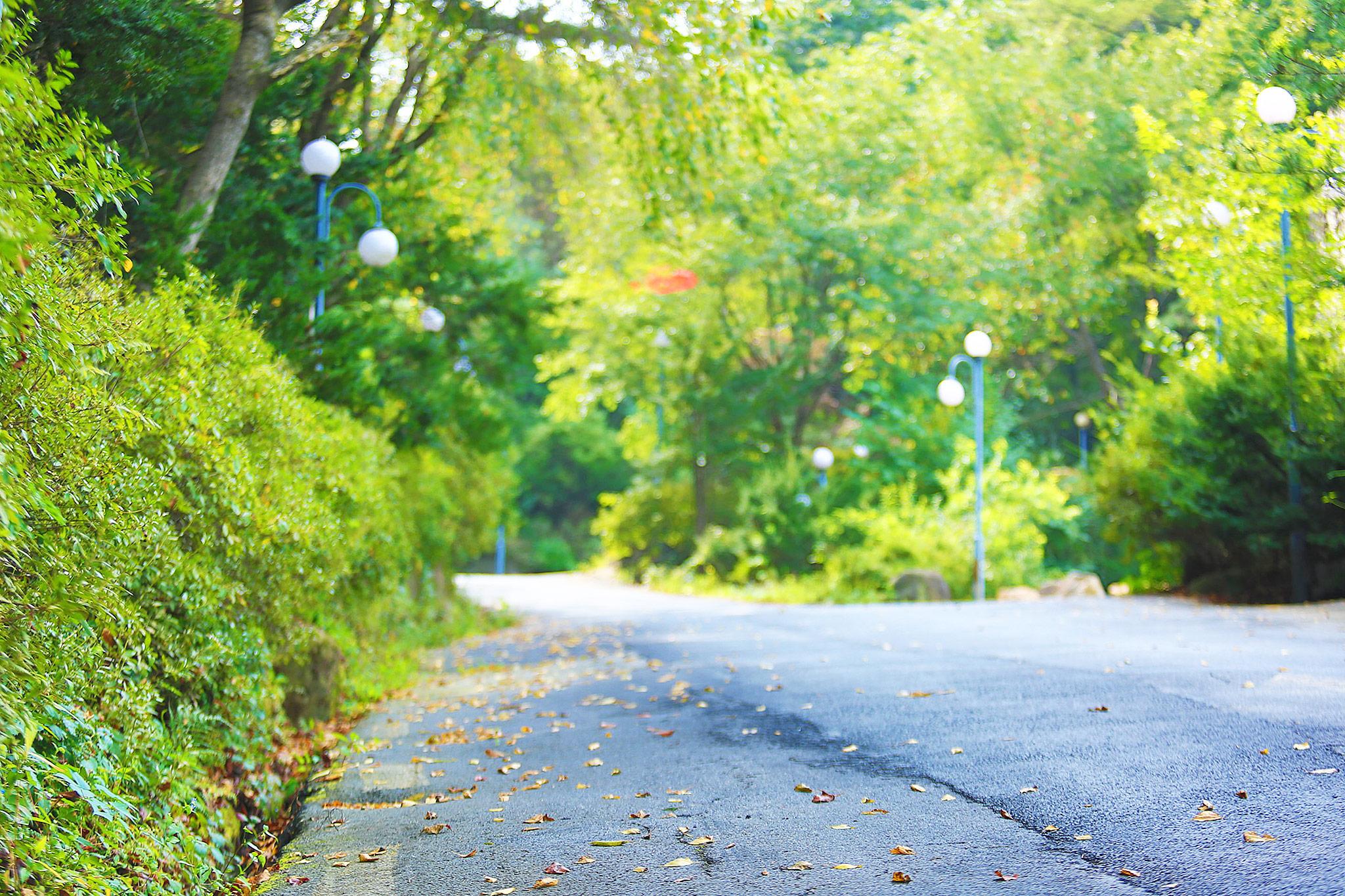 Pocheon Hill House-33