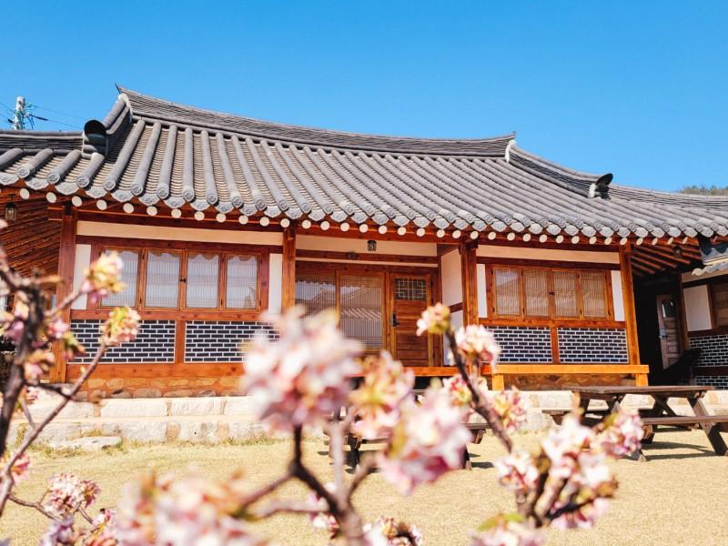 대표 사진