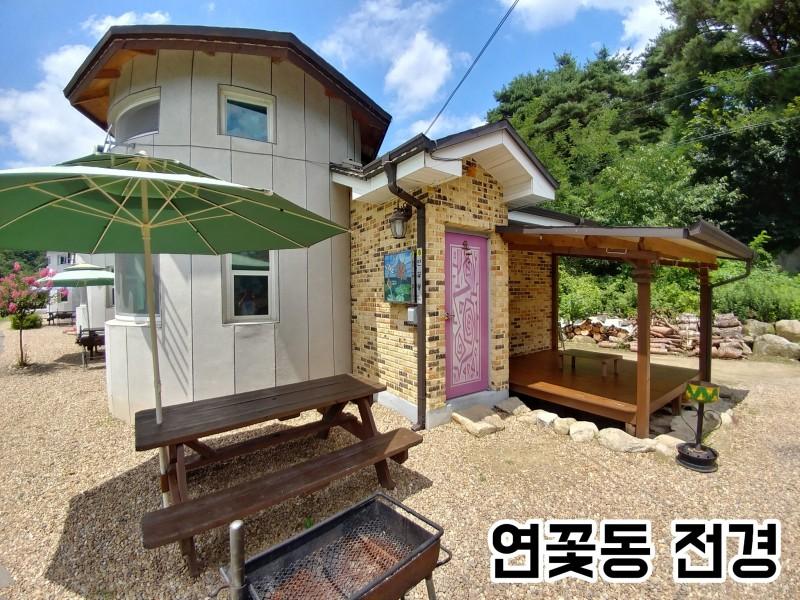 대표 사진