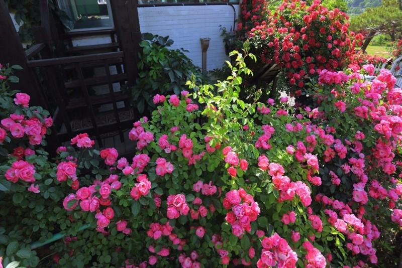 Ganghwado Maison Stella Pension-27