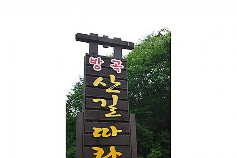 대표 사진