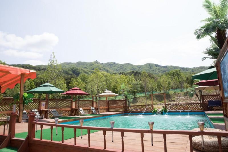 Pocheon Horse Kingdom Glamping-36