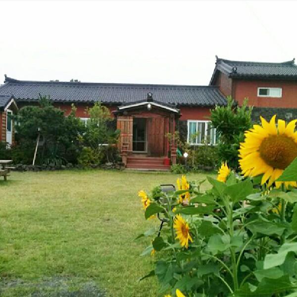 Seogwipo Nameless Artist's Guest House-15