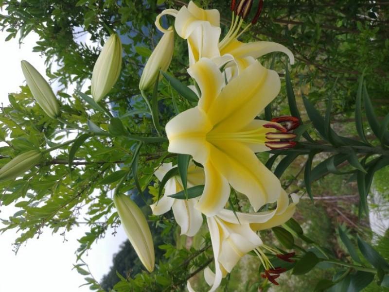 숙소 시설