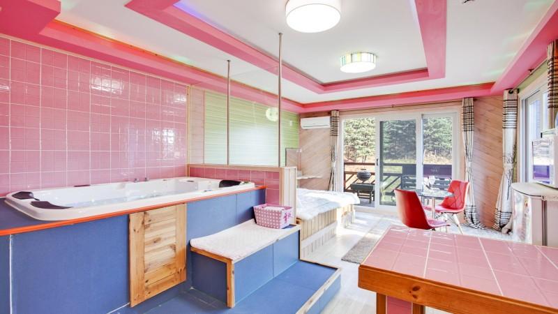 Gapyeong Dream Talk Spa Pension