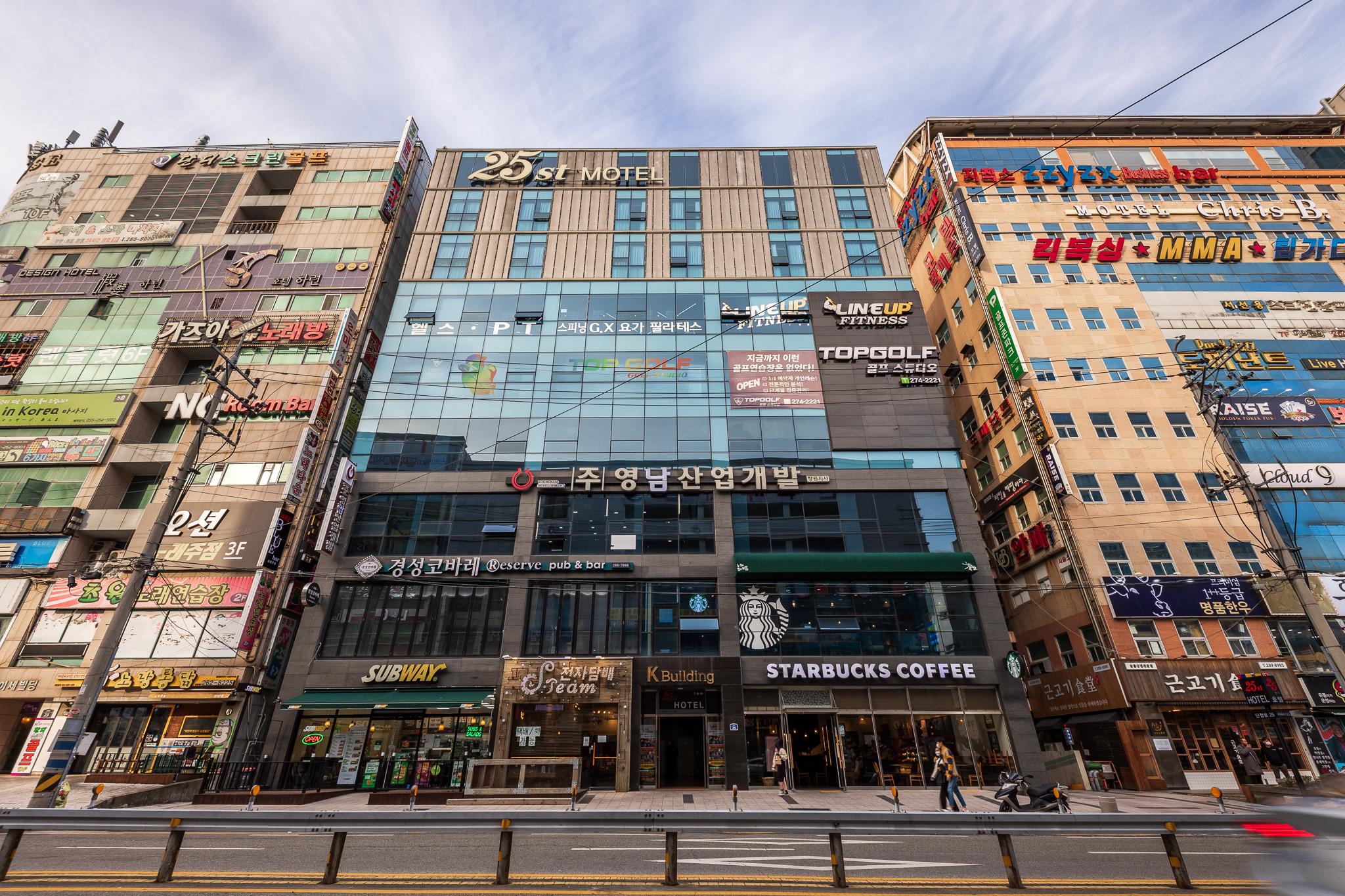 대표 사진