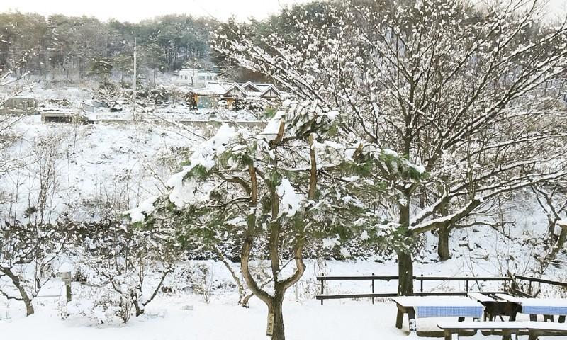 Yangpyeong Pension ANN-6