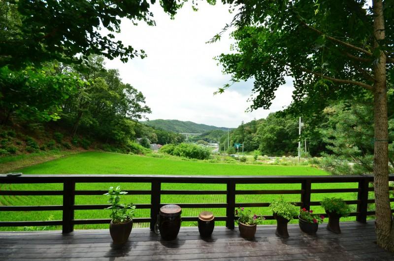 Yeoju Pureunhaneul Eunhasu Pension-60