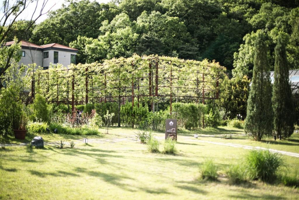 Eden Paradise Hotel Icheon-56