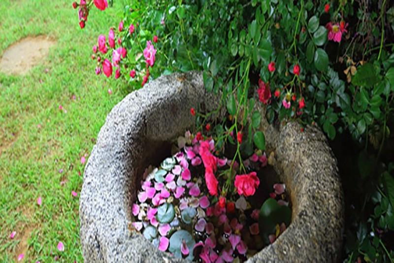 Ganghwado Maison Stella Pension-17