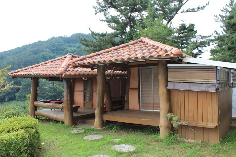 대표 사진