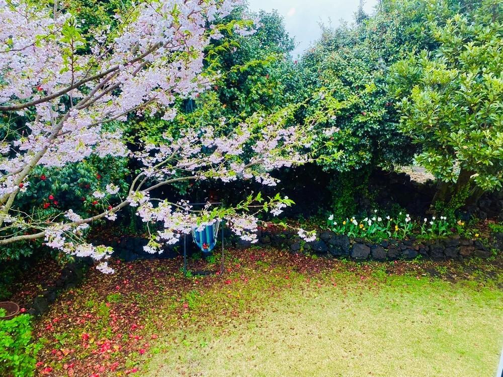 성산 [다붓]