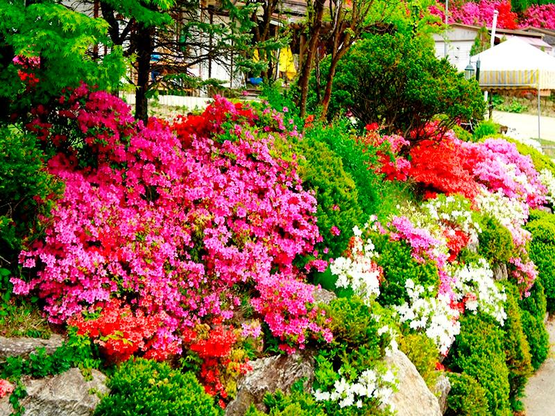 Gapyeong Purun Valley Pension-81