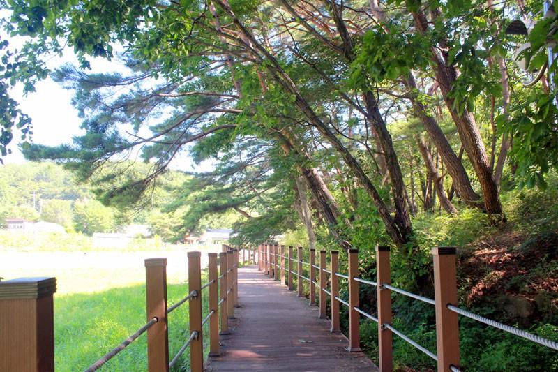 Hanwha Resort Sanjeong Lake-15