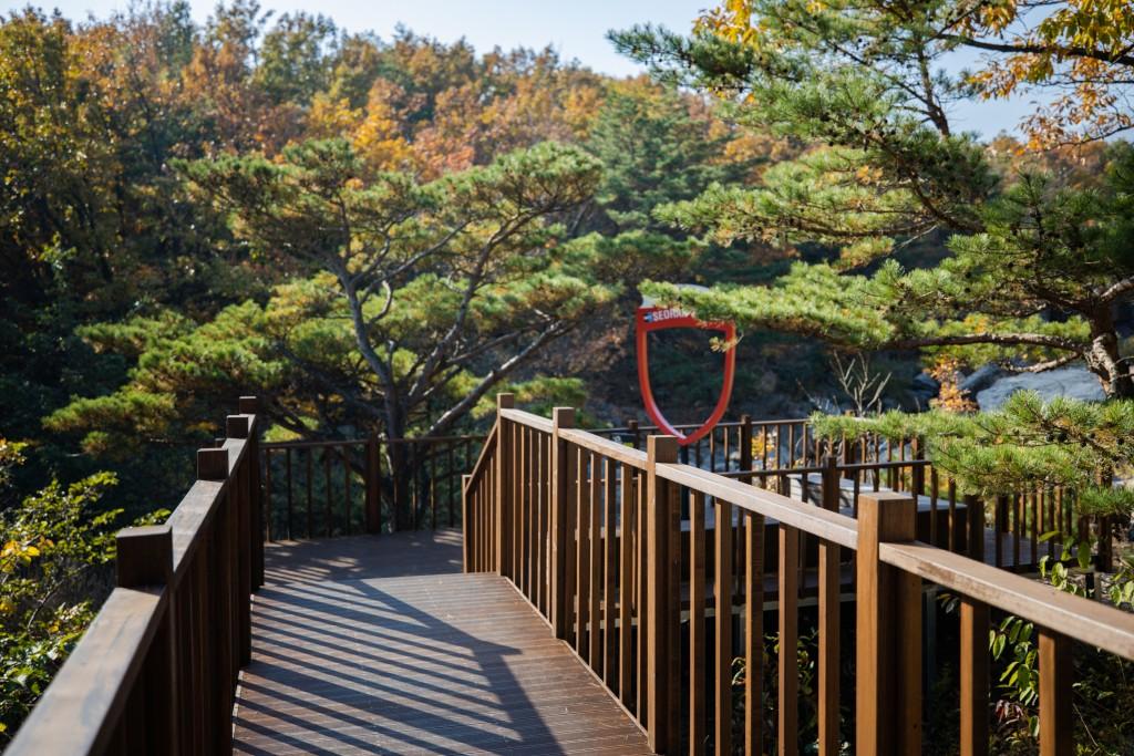 대표 사진