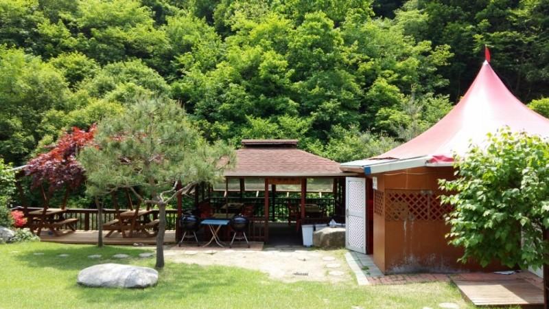 대표 사진