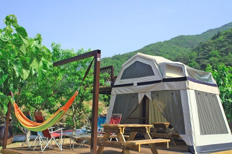 대표 사진