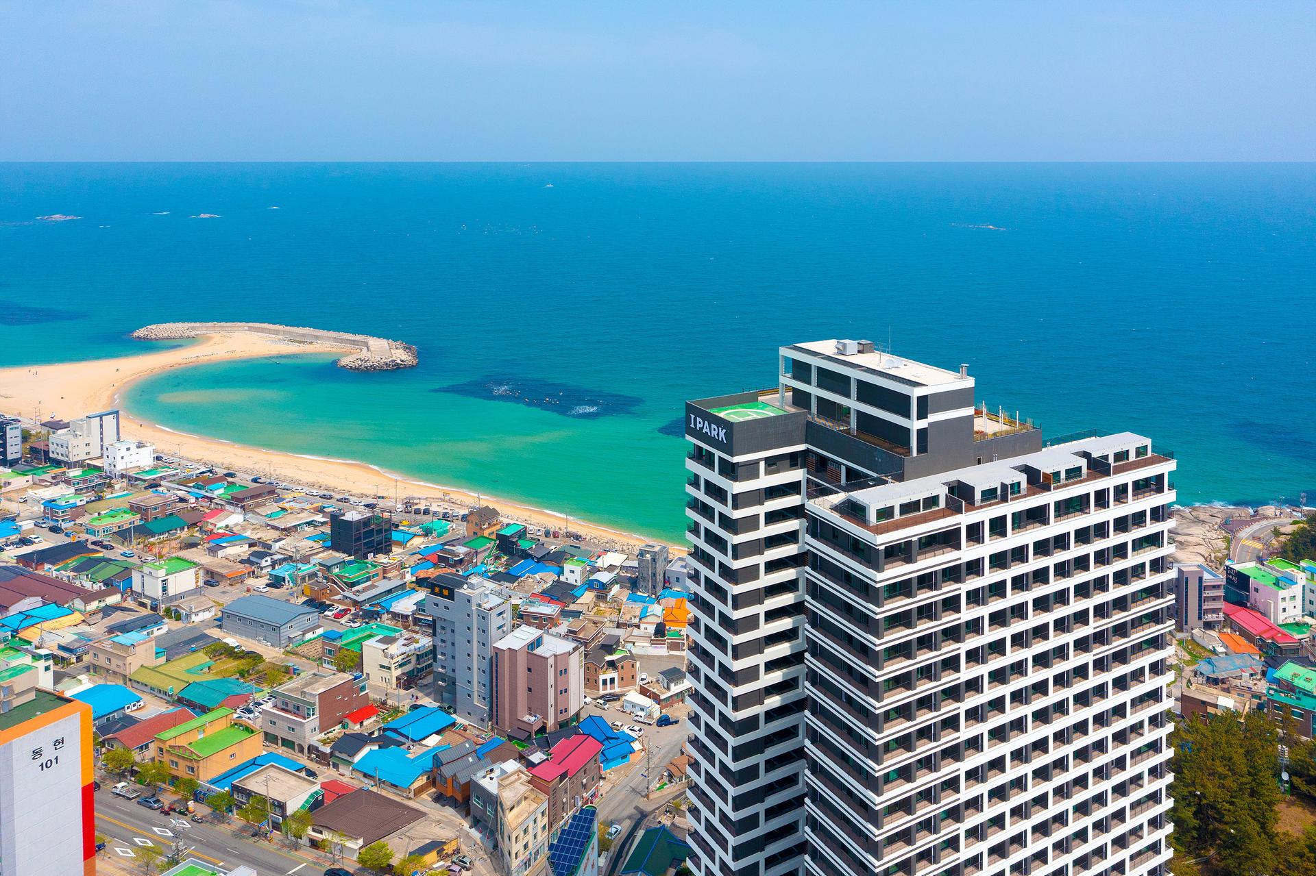 대표 사진