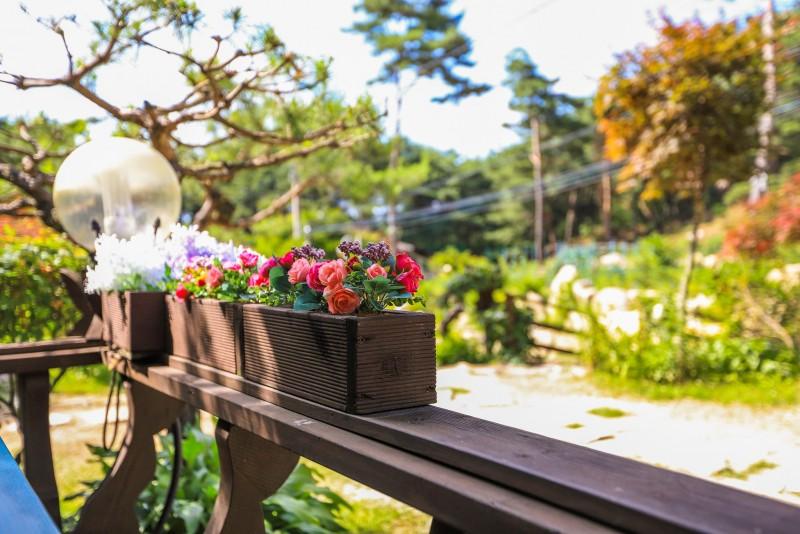 Pocheon Sanulrim Pension-29