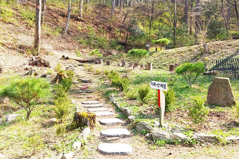 Yangpyeong Lime Orange Pension-13