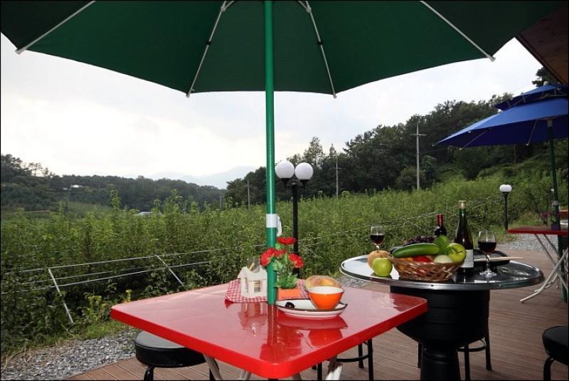 Yangpyeong Baero Farm Pension-18