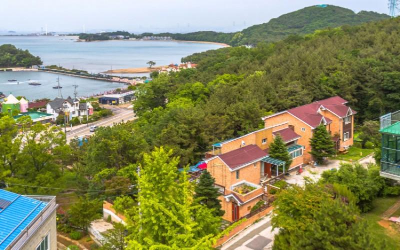 Daebudo Rose Hill Pension