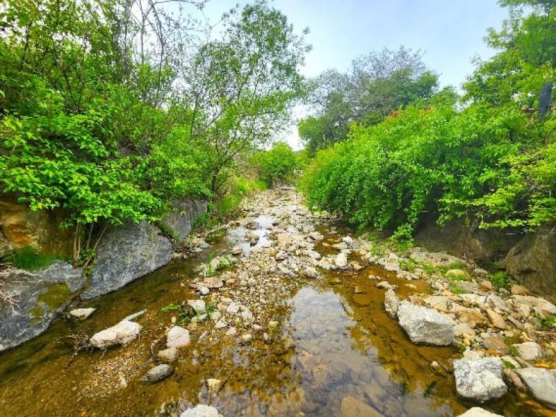 Yangpyeong Omni Dome Glamping-16