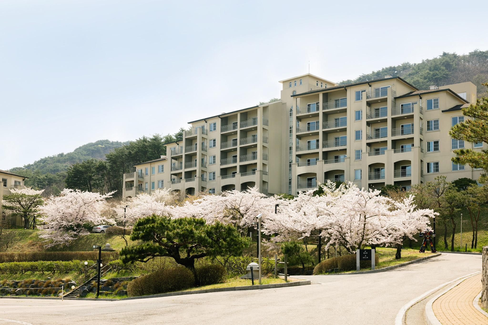 대표 사진