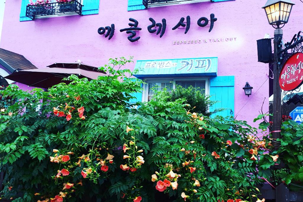 Samcheok Ecclesia's Morning Guest House