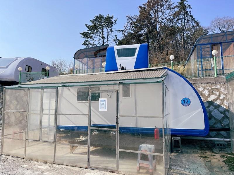 대표 사진