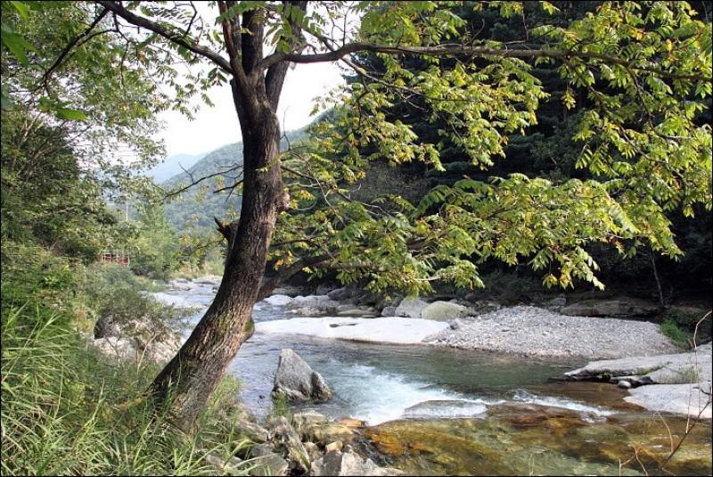 Gapyeong Purun Valley Pension-47