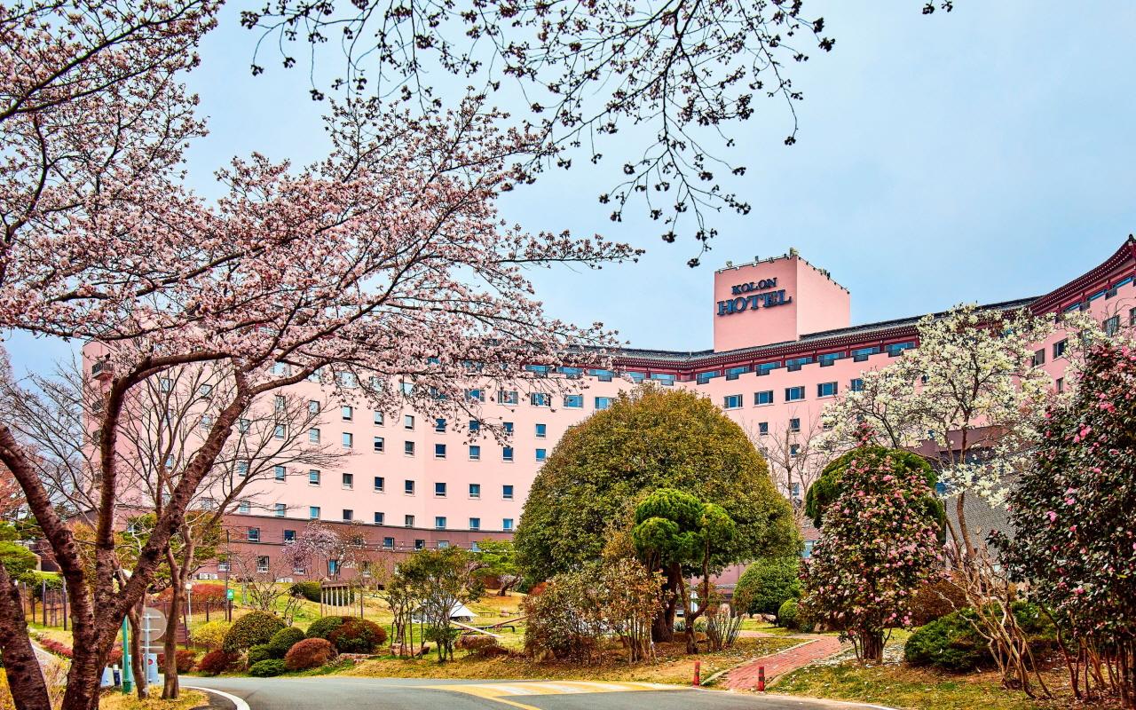 대표 사진