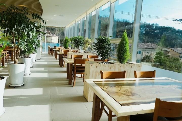 대표 사진