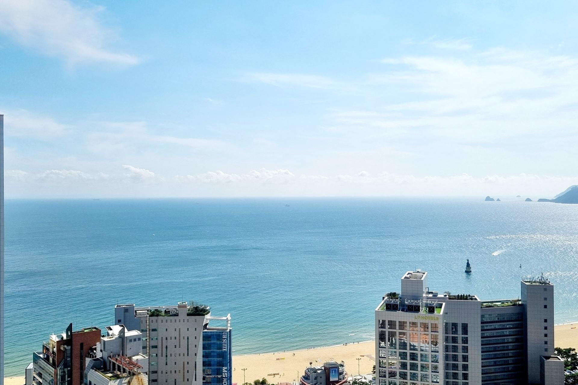 대표 사진