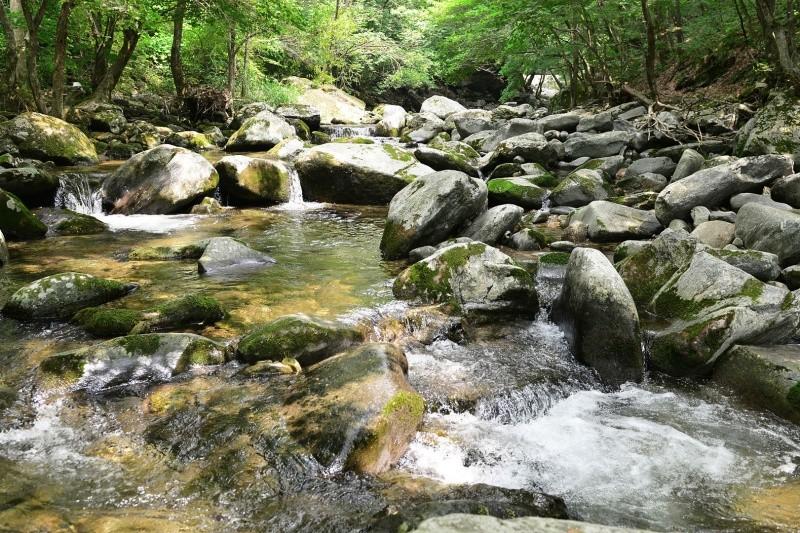 Gapyeong Lavender Pension-5