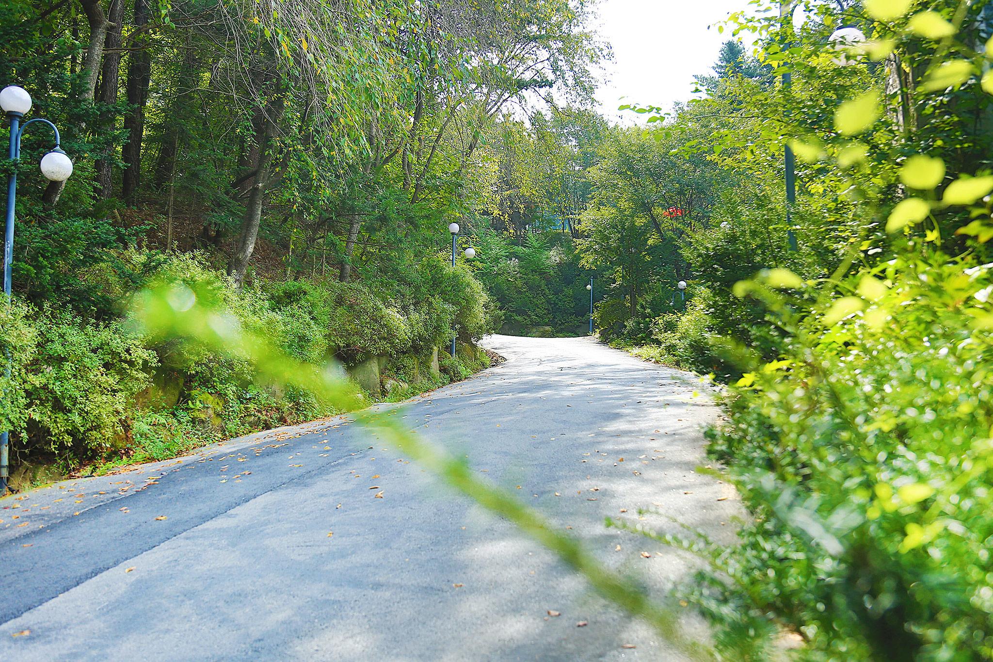 Pocheon Hill House-40