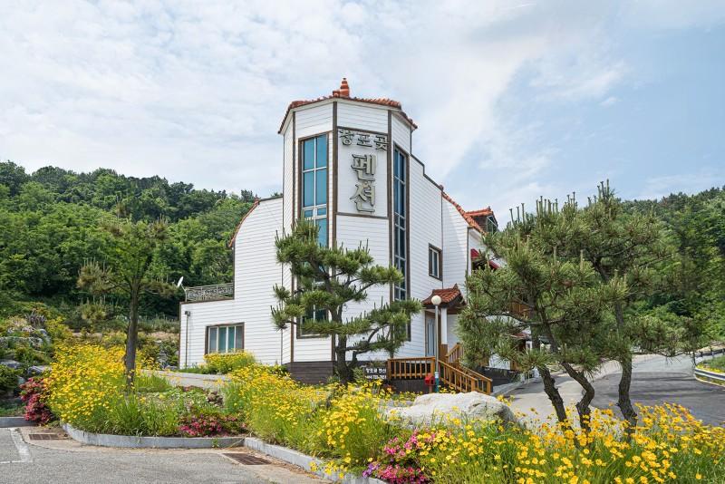 대표 사진