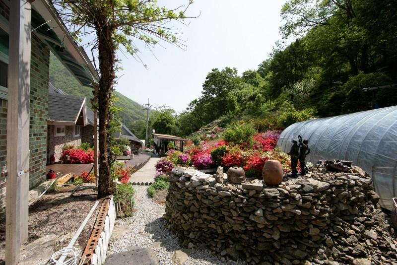 Gapyeong Valley Pension Luan (Valley in front of the pension)-50