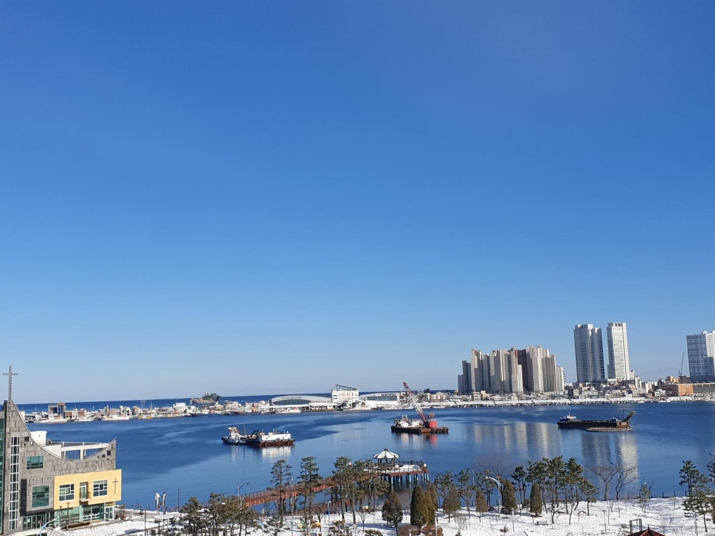 대표 사진