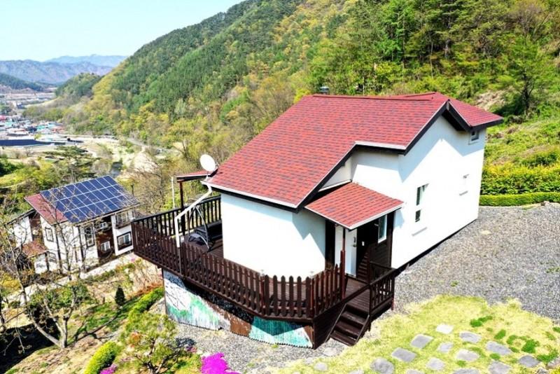 대표 사진