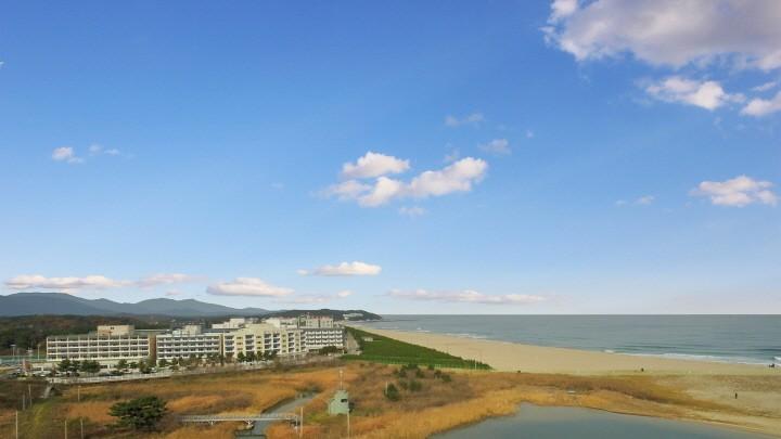 대표 사진