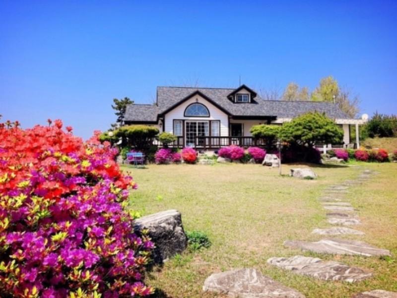 Daebudo Bohemian Blue Pension-7