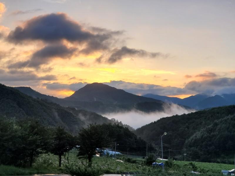 대표 사진