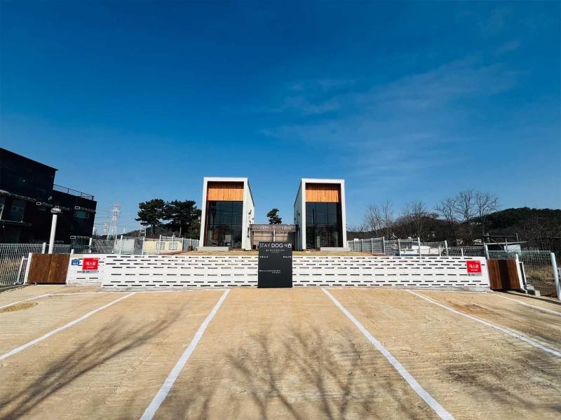 대표 사진