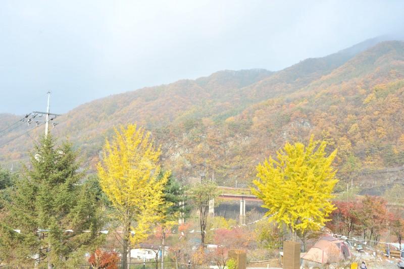 숙소 시설