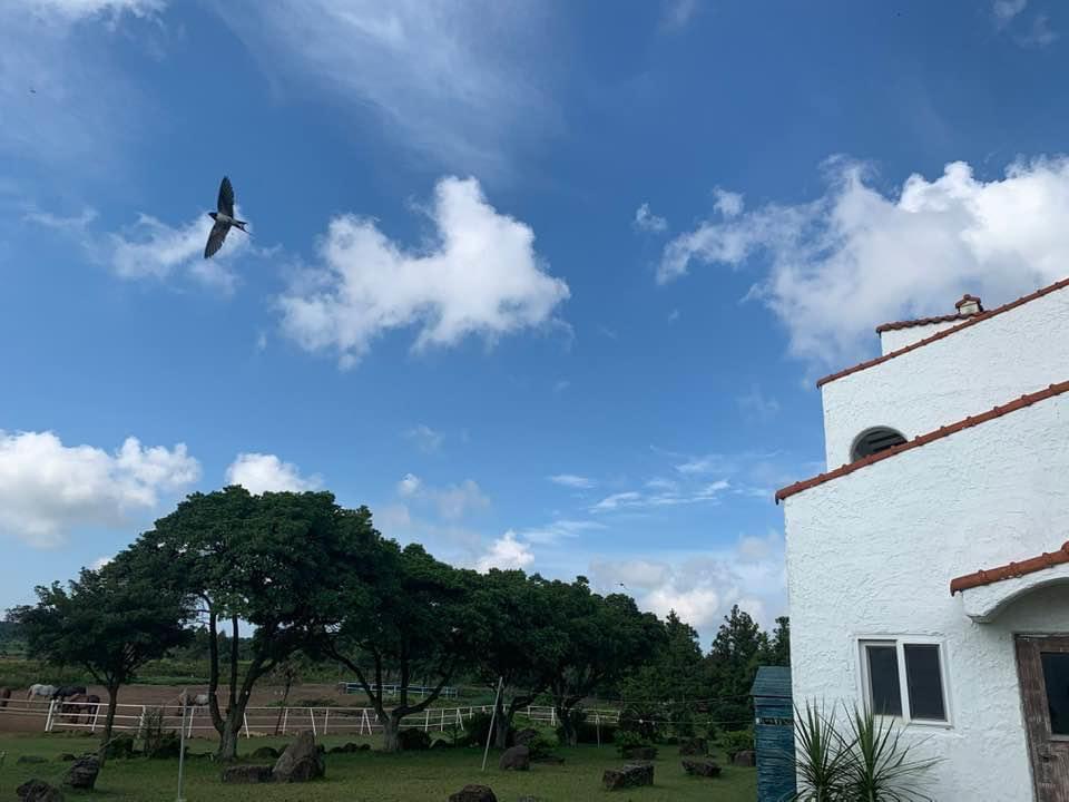 숙소 외관