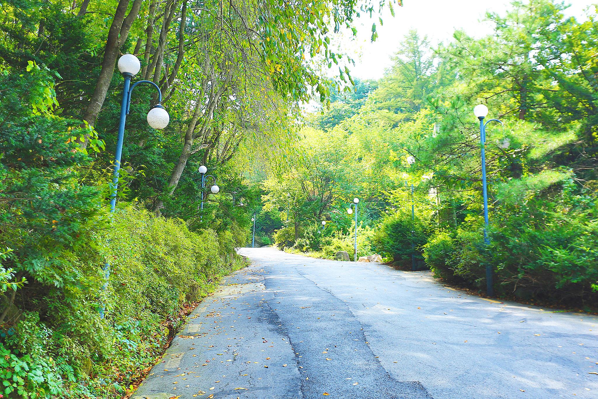 Pocheon Hill House-34