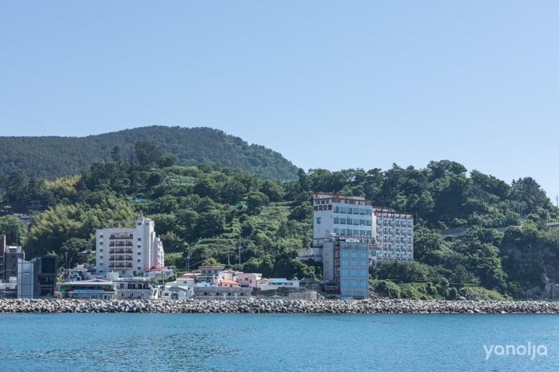 대표 사진