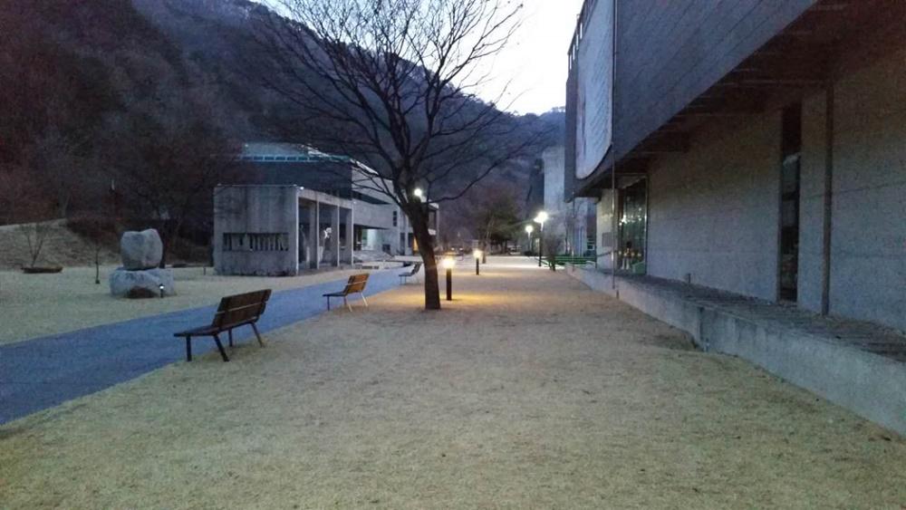 대표 사진