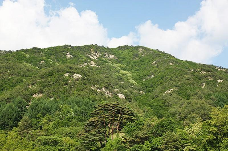 숙소 시설